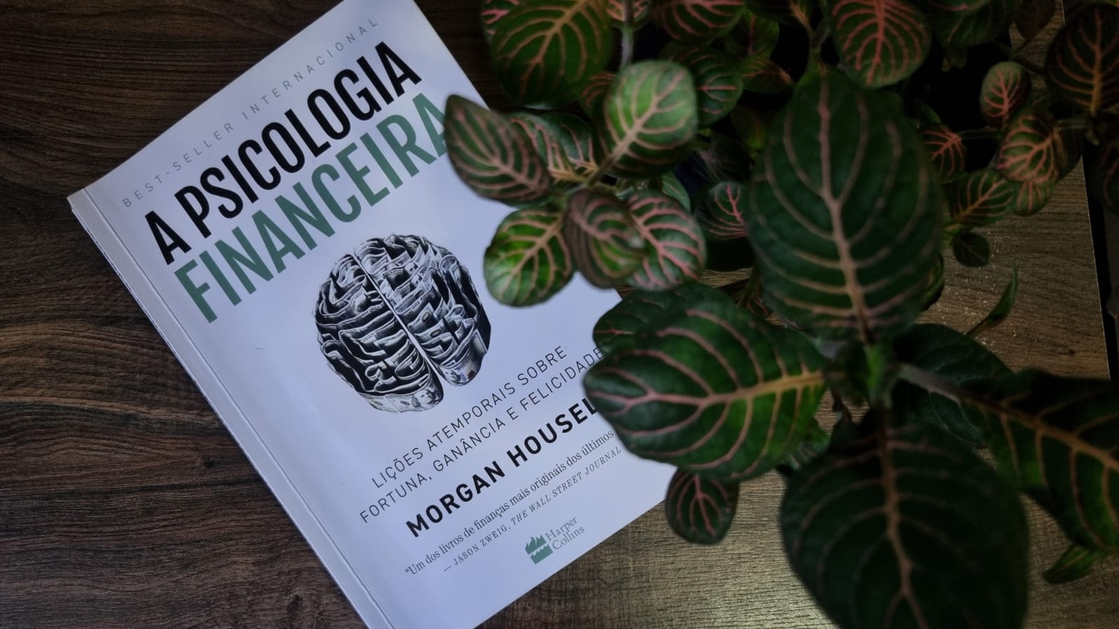 A psicologia Financeira de Morgan Housel